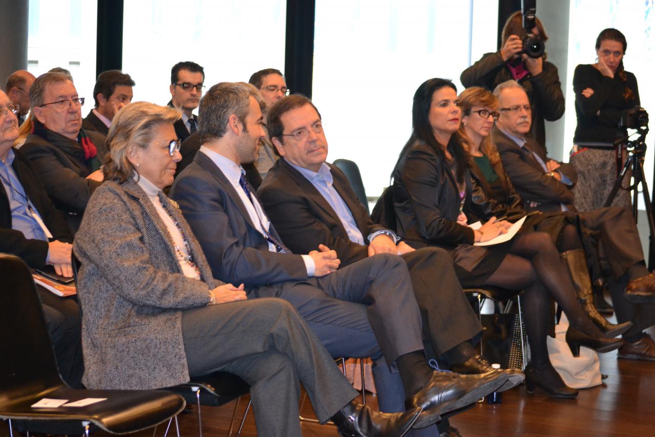 fem llobregat iceta 019.jpg